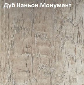 Угловой шкаф с зеркалом YR-230х1034-TR-M Риал в Надыме - nadym.mebel-74.com | фото