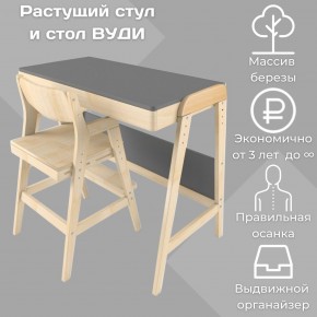 Комплект растущий стол и стул 38 попугаев «Вуди» (Серый, Без покрытия) в Надыме - nadym.mebel-74.com | фото