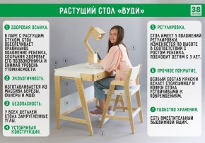 Комплект растущий стол и стул с чехлом 38 попугаев «Вуди» (Белый, Береза, Ромбы) в Надыме - nadym.mebel-74.com | фото