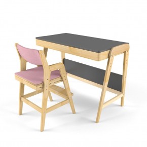 Комплект растущий стол и стул с чехлом 38 попугаев «Вуди» (Серый, Береза, Розовый) в Надыме - nadym.mebel-74.com | фото