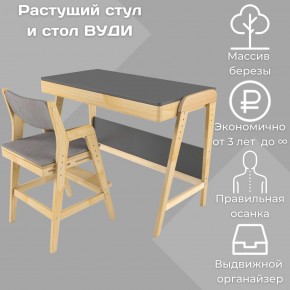 Комплект растущий стол и стул с чехлом 38 попугаев «Вуди» (Серый, Без покрытия, Серый) в Надыме - nadym.mebel-74.com | фото