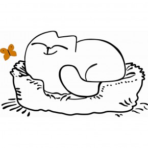 Кровать двухуровневая Кот № 900.1 ЛЕВАЯ (туя светлая/белый) в Надыме - nadym.mebel-74.com | фото