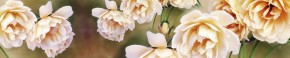 Кухонный фартук Цветы 066 МДФ матовый (3000) Flowers в Надыме - nadym.mebel-74.com | фото