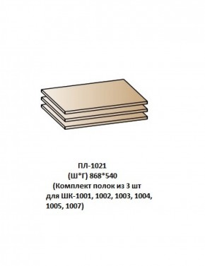 ПЛ-1021 (Комплект полок из 3 шт для ШК-1001, 1002, 1003, 1004, 1005, 1007) в Надыме - nadym.mebel-74.com | фото
