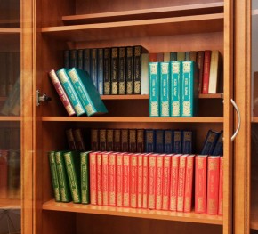 Шкаф для книг арт. 200 в Надыме - nadym.mebel-74.com | фото
