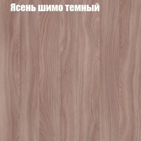 Шкаф-купе «ТАНДЕМ» 2-х дверный в алюминиевом профиле (Дверь ЛДСП+ЛДСП) 1200/h2200 в Надыме - nadym.mebel-74.com | фото