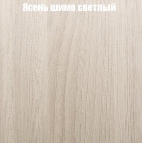 Шкаф-купе «ТАНДЕМ» 2-х дверный в алюминиевом профиле (Дверь ЛДСП+ЛДСП) 1400/h2200 в Надыме - nadym.mebel-74.com | фото
