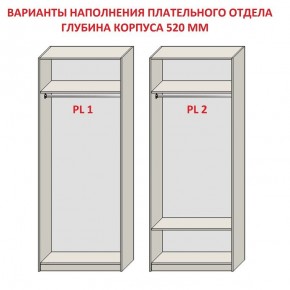 Шкаф распашной серия «ЗЕВС» (PL3/С1/PL2) в Надыме - nadym.mebel-74.com | фото