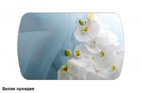 Стол Бостон 900*600 (опоры Брифинг) Стекло/фотопечать Белая Орхидея в Надыме - nadym.mebel-74.com | фото