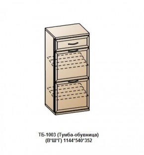 ТБ-1003 (Тумба-обувница) в Надыме - nadym.mebel-74.com | фото