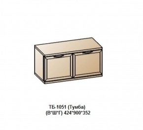 ТБ-1051 (Тумба) в Надыме - nadym.mebel-74.com | фото
