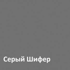 Юнона Шкаф торцевой 13.221 в Надыме - nadym.mebel-74.com | фото
